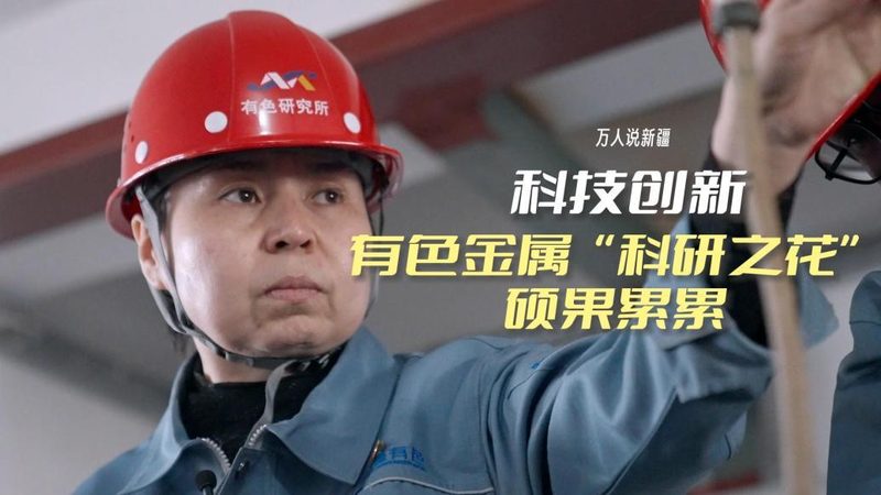 数据湖与AI平台：优缺点解析与实际应用考量
